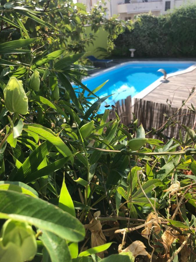 Casa Vacanze Domusangela มาเตรา ภายนอก รูปภาพ
