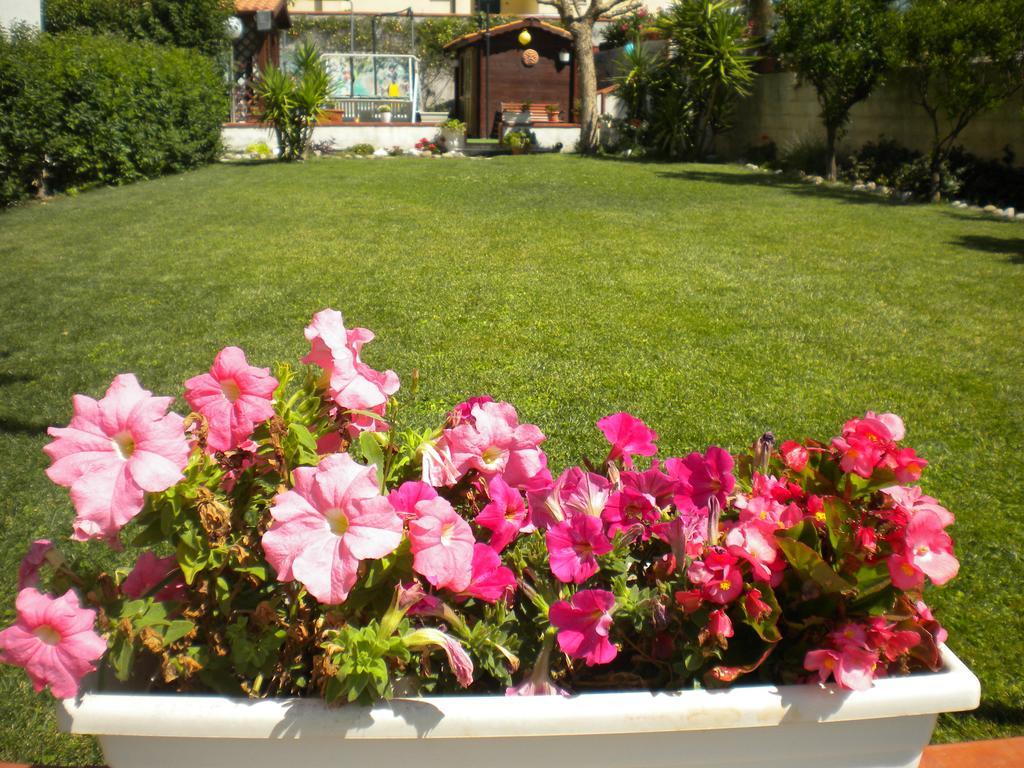 Casa Vacanze Domusangela มาเตรา ภายนอก รูปภาพ